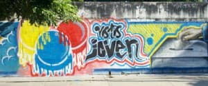 VOTO JOVEN