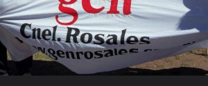 GEN CORONEL ROSALES