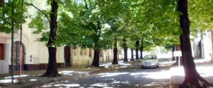 VEREDAS CON MÁS ESPACIO VERDE