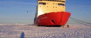 CAMPAÑA ANTÁRTICA