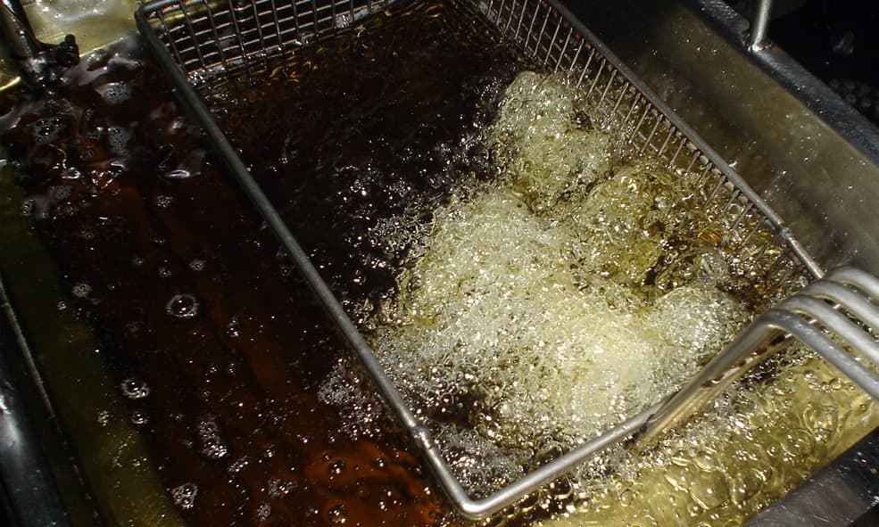 TRATAMIENTO INTEGRAL DE LOS ACEITES VEGETALES USADOS