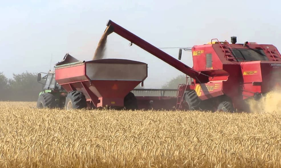 SOLICITUD DE INFORMES SOBRE LOS PERMISOS PARA EXPORTAR MAÍZ Y TRIGO