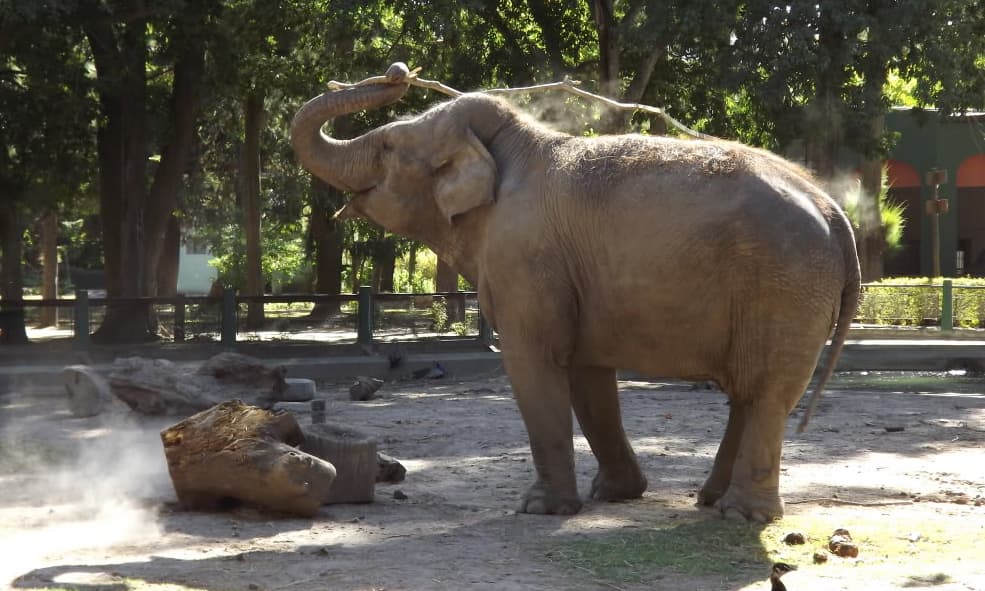 DEBEMOS REPENSAR EL ZOO PLATENSE