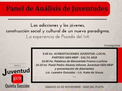 PANEL DE ANALISIS DE JUVENTUDES