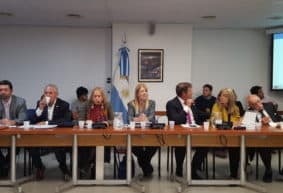 Stolbizer y Cousinet presentaron proyecto de creación de una justicia para delitos ambientales