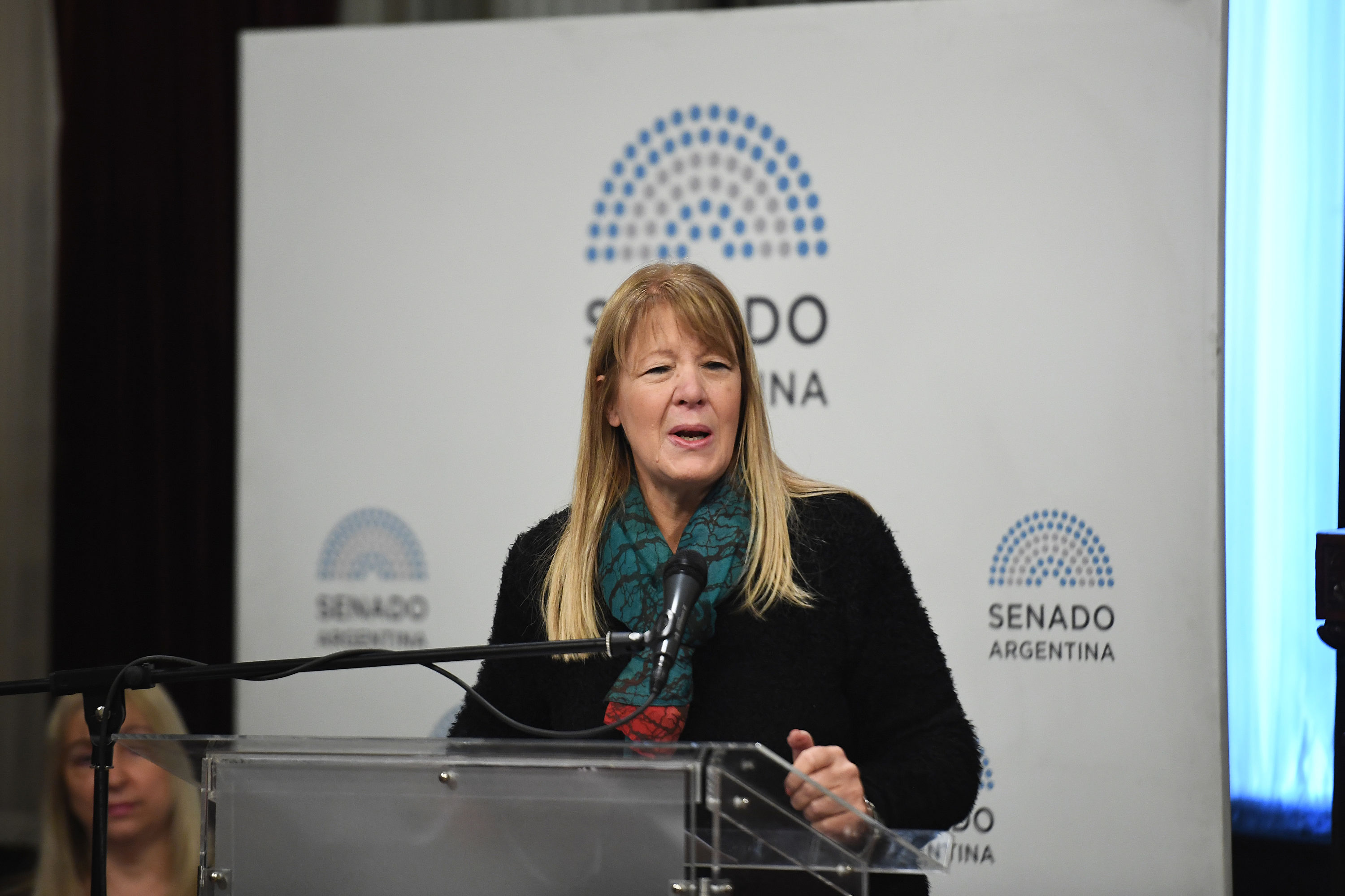 STOLBIZER PLENARIO INTERRUPCIÓN VOLUNTARIA DEL EMBARAZO – SENADO DE LA NACIÓN 31/7/18