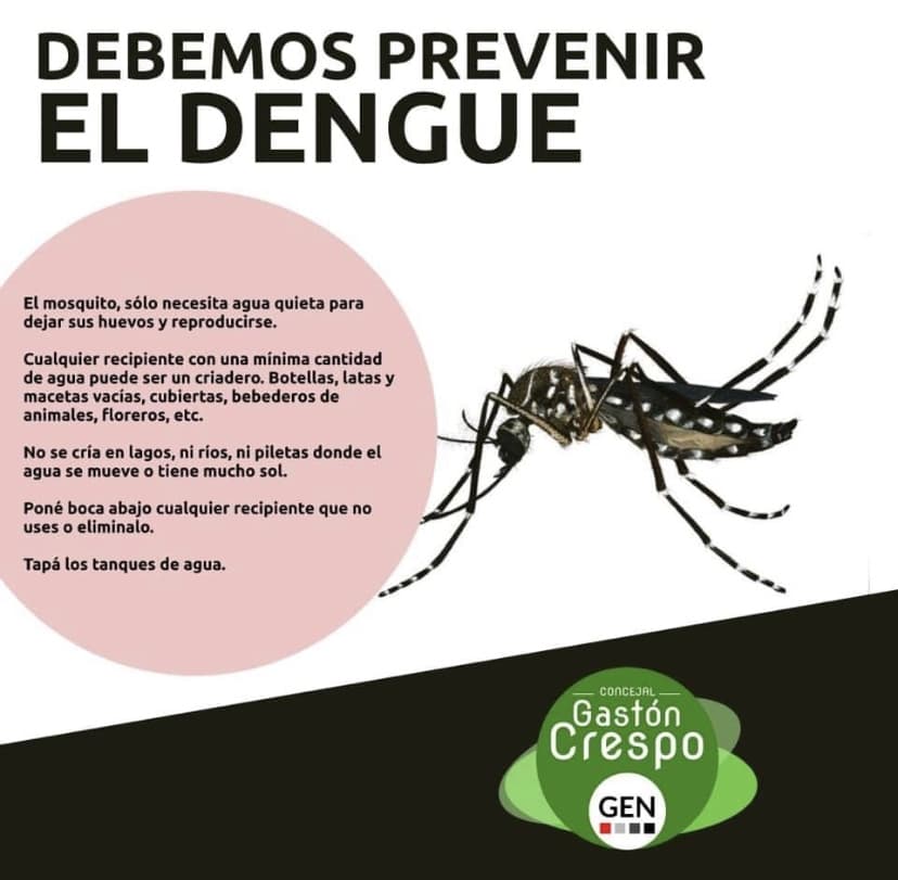 DEBEMOS ANTICIPARNOS A LA PROPAGACIÓN DEL DENGUE